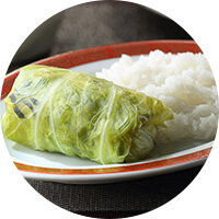Vegetarian Nappa Cabbage Wrap