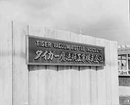 Tiger 1953